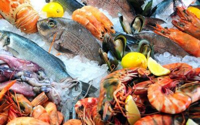 10 Science-Backed Benefits of Eating Seafood